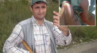 Keşfedilen böcek türüne eşinin ismini verdi, ortalık karıştı