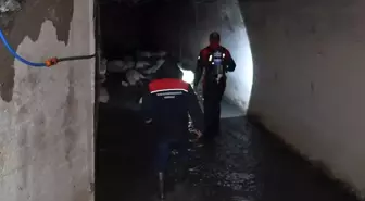 Kırıkkale'de 'koku' faciası: 23 küçükbaş hayvan telef oldu, 77'si son anda kurtarıldı