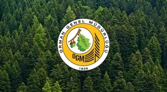 OGM KURA SONUÇLARI || OGM işçi alımı kura sonuçları hangi iller açıklandı? OGM işçi alımı kura sonucu sorgulama ekranı!