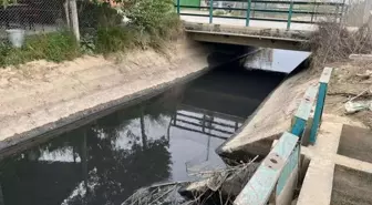 Şanlıurfa'da sulama kanalında kadın cesedi bulundu