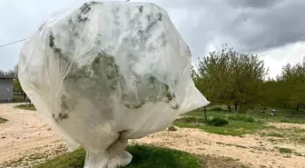 Malatya'da Kayısı Üreticileri Zirai Dondan Korunmak İçin Önlemler Alıyor