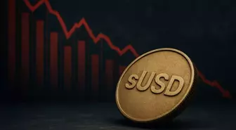 SUSD dolar sabitini kaybederek beş yılın en düşük seviyesine geriledi
