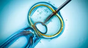 Tüp bebek kliniğinde skandal hata: Kadın yanlışlıkla başka çiftin bebeğini doğurdu