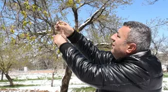 Kar ve soğuk kentin bel kemiğini vurdu: Mahsulün tamamını kaybettik