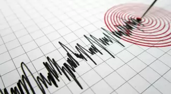 Van'da bir saat içinde 4 deprem meydana geldi