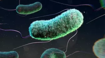 Antibiyotik Direnci: 2022'de Üç Milyon Çocuk Hayatını Kaybetti