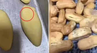 Pastanede mide bulandıran görüntüler! Vatandaşları işte böyle zehirliyorlar