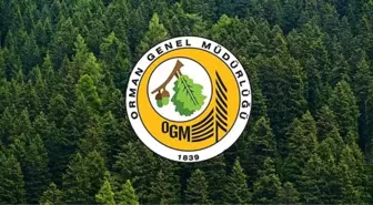 OGM personel alımı başvuru sonuçları: OGM 3.477 personel alımı başvuru sonuçları ne zaman, nereden açıklanacak?
