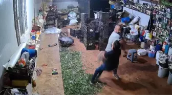 Antalya'da Çiçekçi Cinayeti: Sanığa Müebbet Hapis Cezası