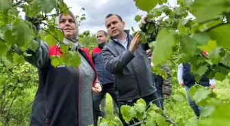 Düzce'de Zirai Donun Zararları İçin Koordinasyon Toplantısı