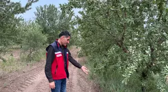 Adıyaman'da Dolu Yağışı Tarım Alanlarını Vurdu