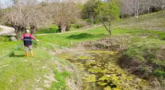 Elazığ'da 16 Köyde Larva İlaçlama Çalışması Başlatıldı