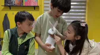 BİLSEM Öğrencileri Sınıf Hayvanları ile Sorumluluk ve Empati Geliştiriyor