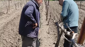 Amasya'da Bağ Alanları İçin Çiftçilere Eğitim