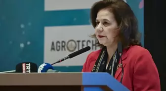 Ankara'da 'Blue Talks: Değişimin İçinde UNOC-3'e Giden Yol' paneli düzenlendi