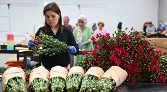 Anneler Günü İçin 30 Ülkeye 75 Milyon Dal Çiçek İhracatı