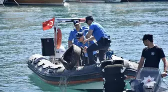 Antalya'da Deniz Dibi Temizliği Yapıldı