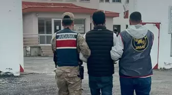 Ardahan'da Hırsızlık Operasyonu: 1 Kişi Tutuklandı
