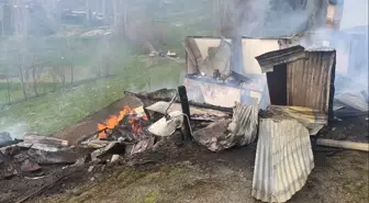 Artvin'de Yangın: 2 Katlı Ev ve Ahırlar Kül Oldu