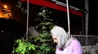 Bilecik'te Hıdırellez Geleneği Coşkuyla Kutlandı