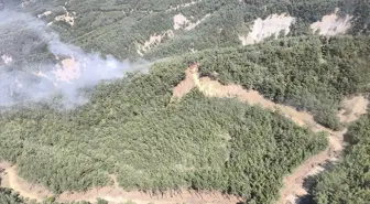 Gökçeada'da Orman Yangını Kontrol Altına Alındı