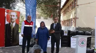 İskilip'te Üreticilere %70 Hibe Desteğiyle 140 Bin Çilek Fidesi Dağıtıldı