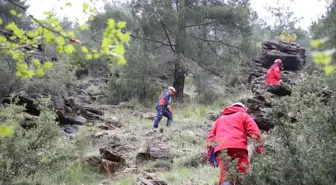 Denizli'de Kayıp Mantar Toplayıcısı İçin Arama Çalışmaları Sürüyor