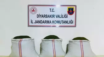 Diyarbakır'da Uyuşturucu Operasyonu: 18 Bin Kök Hint Keneviri Ele Geçirildi