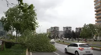 Diyarbakır'da Kuvvetli Rüzgar ve Fırtına Hayatı Olumsuz Etkiledi