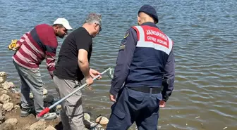 Diyarbakır'da Hayvan Sulama Göletinde Balık Ölümleri İnceleniyor