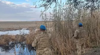 Eber Gölü Koruma Önlemleriyle Kaçak Avcılığa Geçit Yok