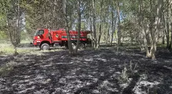 Edirne'de Çalılık Alanda Yangın Söndürüldü