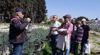 Edremit'te Zeytin Budamacılığı Kursu Tamamlandı