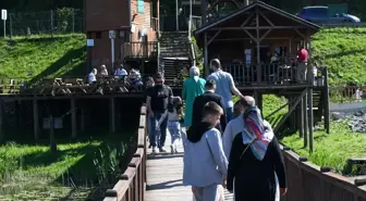Efteni Gölü ve Sinekli Yaylası Hafta Sonu Ziyaretçilerini Ağırladı