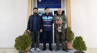Elazığ'da Yaralı Kaya Kartalı Kurtarıldı