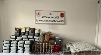 Antalya'da Kaçak Tütün Operasyonu: 1 Gözaltı