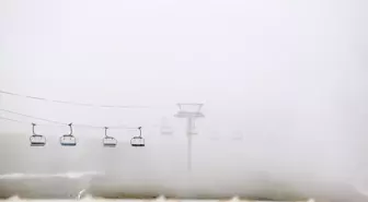 Erzurum'da Sağanak Yağış ve Sis Etkili Oldu