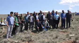 Gemerek'te 2 Bin 500 Fidan Toprakla Buluştu