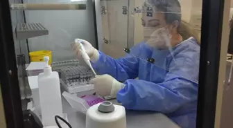 Trabzon'da HPV Taramaları Başarıyla Devam Ediyor
