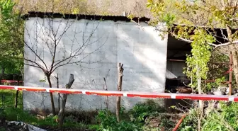 Tire'de Yangın: Bir Kardeş Hayatını Kaybetti, Diğeri Yaralandı