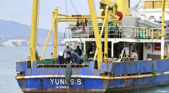 İzmit Körfezi'nde Su Kalitesinde İyileşme ve Biyoçeşitlilik Artışı