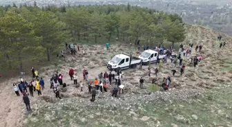 Kayseri'de 3 Bin Fidan Toprakla Buluştu