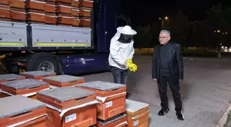 Kayseri'den Arıcılığa Destek: 600 Arılı Kovan Dağıtıldı