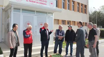 Kırklareli'nde Üreticilere 30 Bin Sebze Fidesi Dağıtıldı
