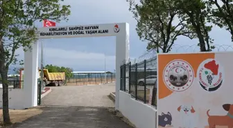 Kırklareli'nde Sokak Hayvanları için Rehabilitasyon ve Bakımevi İncelemesi