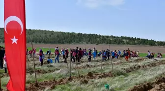 Kırşehir'de 1000 Fidan Dikim Etkinliği Düzenlendi