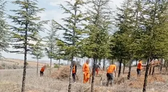 Kırşehir'de Hükümlülerden Sosyal Proje Çalışmaları
