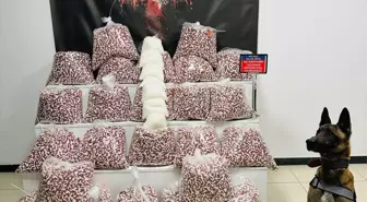 Kocaeli'de Durdurulan Tırda 397 Bin Sentetik Ecza Hap ve 7 Kilogram Metamfetamin Ele Geçirildi