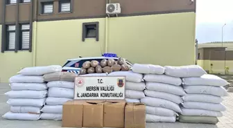 Mersin'de Yolcu Otobüsünde 1.5 Ton Kaçak Tütün Ele Geçirildi