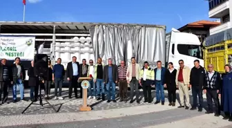 Nallıhan Belediyesi'nden Üreticilere Sera ve Bitki Koruma Örtüsü Desteği